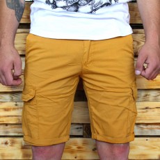 Pantaloni Scurti Barbati MODEL 2017 COD: PS10